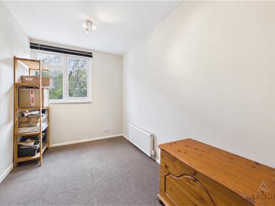 Picture 20